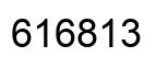 Number 616813 black image