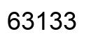 Número 63133 imagen negro