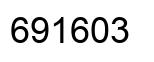 Number 691603 black image