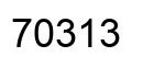 Number 70313 black image