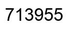 Number 713955 black image
