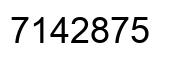 Number 7142875 black image