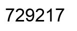 Number 729217 black image