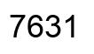 Número 7631 imagen negro