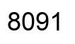 Number 8091 black image