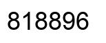 Number 818896 black image