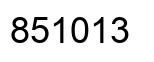 Número 851013 imagen negro