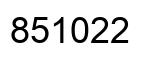 Número 851022 imagen negro