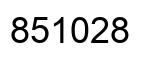 Number 851028 black image