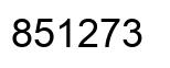 Number 851273 black image