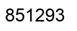 Number 851293 black image