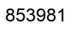 Number 853981 black image