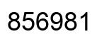 Number 856981 black image