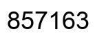 Number 857163 black image