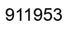 Number 911953 black image