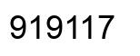 Number 919117 black image