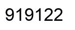 Number 919122 black image