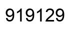 Number 919129 black image
