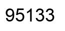 Number 95133 black image