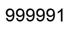Número 999991 imagen negro