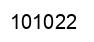 Número 101022 imagen negro