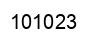 Número 101023 imagen negro