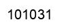 Number 101031 black image