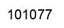 Número 101077 imagen negro