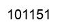 Número 101151 imagen negro