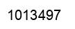 Number 1013497 black image