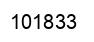 Number 101833 black image
