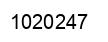 Number 1020247 black image