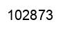 Number 102873 black image