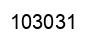 Número 103031 imagen negro