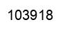 Number 103918 black image