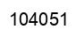 Número 104051 imagen negro