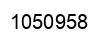 Number 1050958 black image
