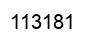 Number 113181 black image