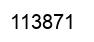 Number 113871 black image