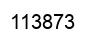 Number 113873 black image