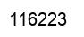Number 116223 black image