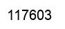 Número 117603 imagen negro