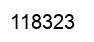 Number 118323 black image
