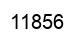 Número 11856 imagen negro