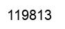Number 119813 black image
