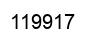 Número 119917 imagen negro