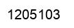 Number 1205103 black image