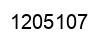 Number 1205107 black image
