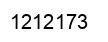 Number 1212173 black image