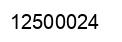 Number 12500024 black image